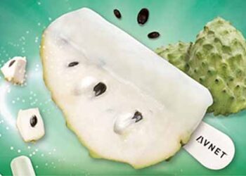 Avnet Popsicle Story