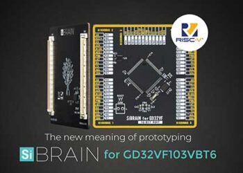 risc v sibrain