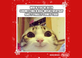DigiWish4