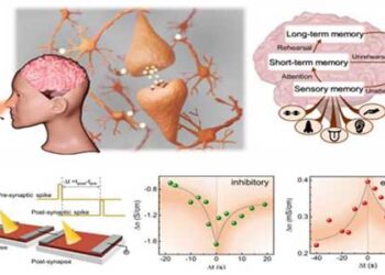 Artificial Synapse