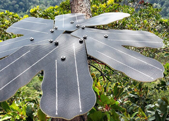 Rainforest Connection
