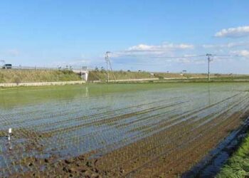 Smart Agriculture