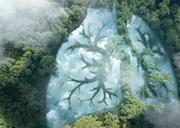 Sustainability Report 2022 published : R&M