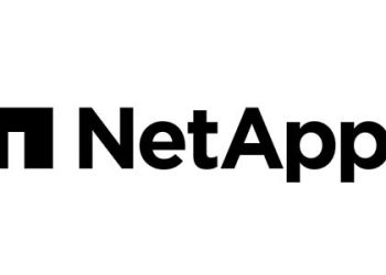 Net App Logo