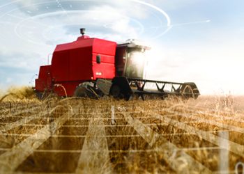 Harvest wheat tractor picking future concept