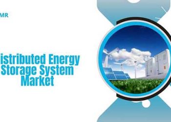 Fact MR Report on Distributed Energy Storage