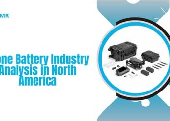 Drone Battery Industry Analysis