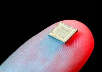 RFID Chips Market