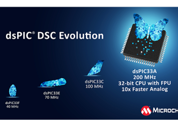 Microchip