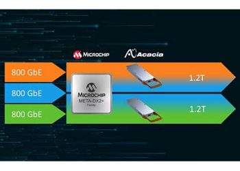 Microchip