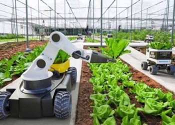 agriculture, robotics, food security,
