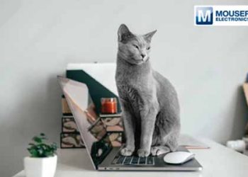 Mouser