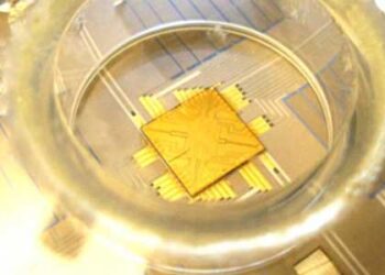 Quantum-Processor