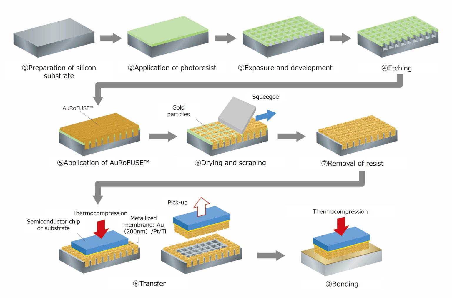 TANAKA Establishes Transfer Technology