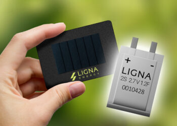 Ligna Energy