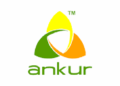 ankur